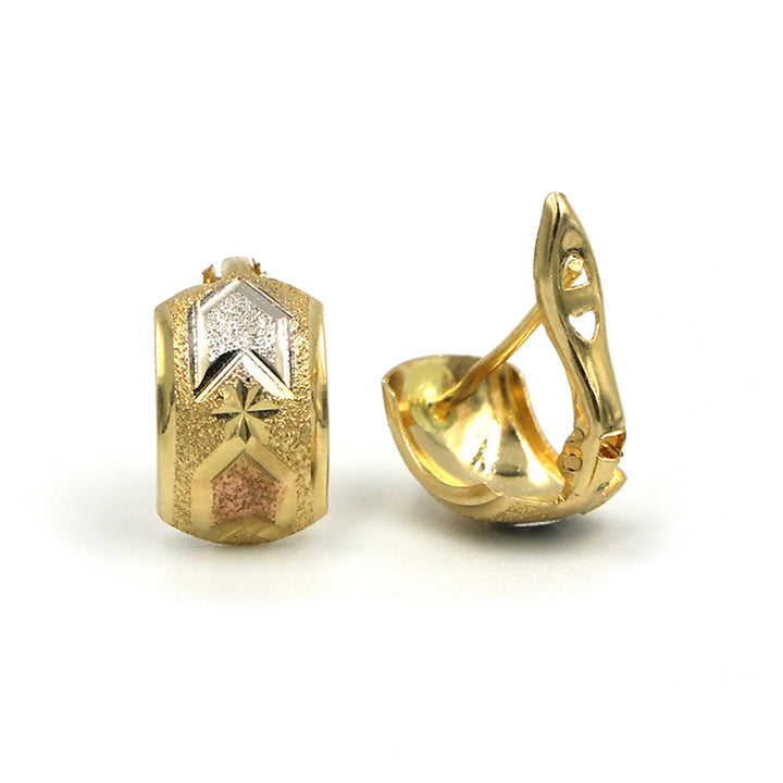 18K Gold Earrings AFE03648