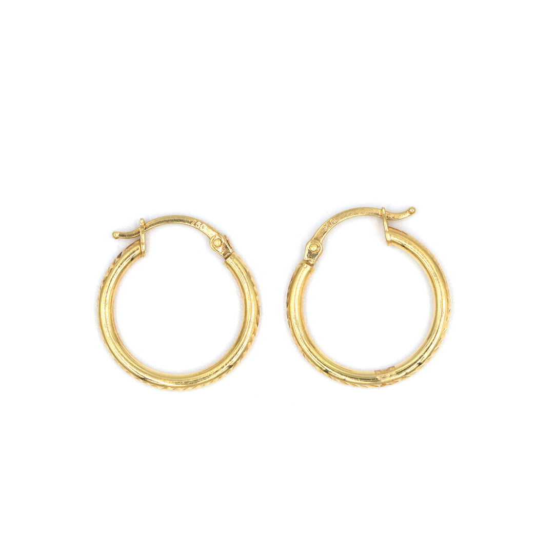 18K Gold Earrings AFE03890 GoldGift